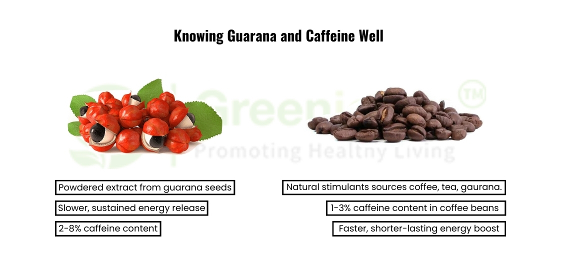 guarana extract powder